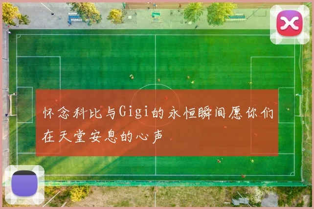 怀念科比与Gigi的永恒瞬间愿你们在天堂安息的心声