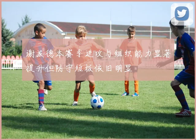 谢泼德本赛季进攻与组织能力显著提升但防守短板依旧明显