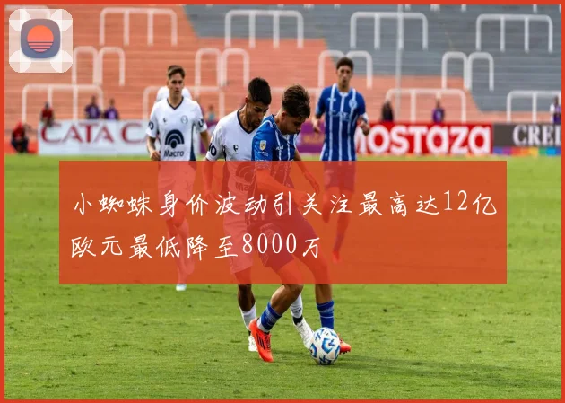 小蜘蛛身价波动引关注最高达12亿欧元最低降至8000万